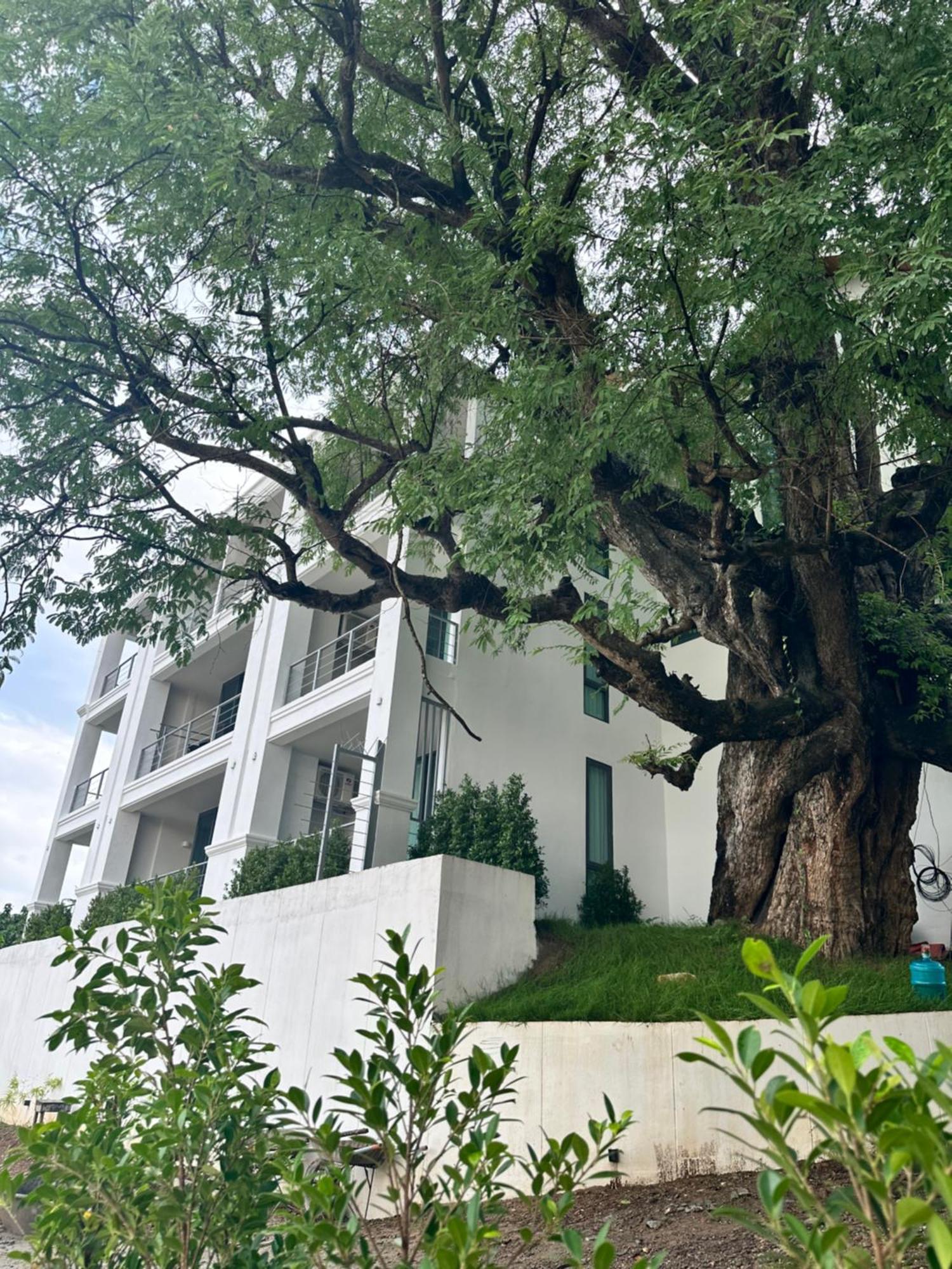 Sokview Residence Luang Prabang Exterior photo